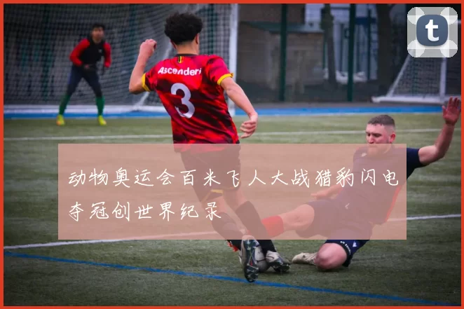 动物奥运会百米飞人大战猎豹闪电夺冠创世界纪录