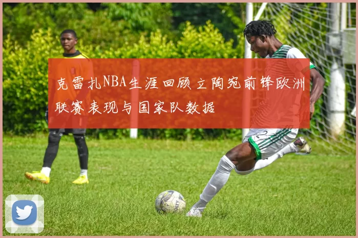 克雷扎NBA生涯回顾立陶宛前锋欧洲联赛表现与国家队数据