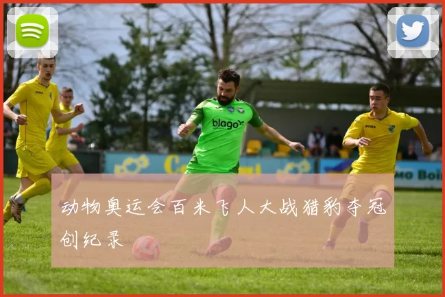 动物奥运会百米飞人大战猎豹夺冠创纪录