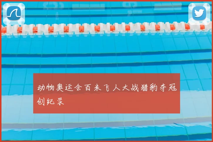 动物奥运会百米飞人大战猎豹夺冠创纪录