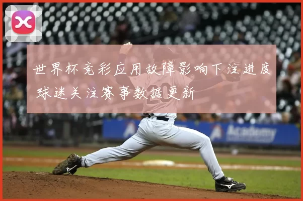 世界杯竞彩应用故障影响下注进度 球迷关注赛事数据更新