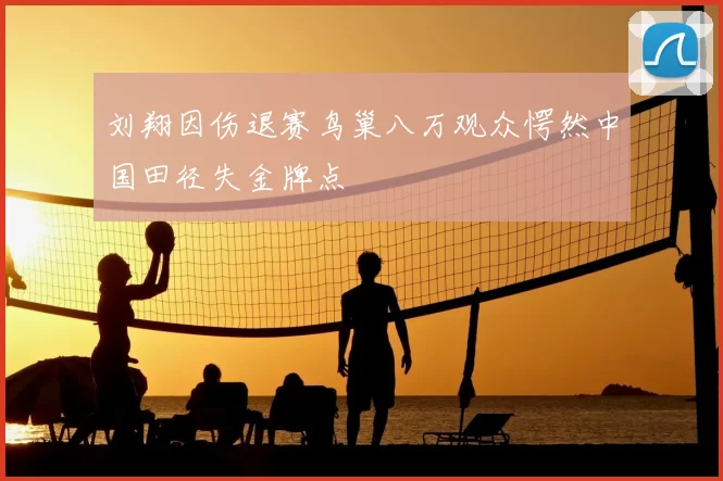 刘翔因伤退赛鸟巢八万观众愕然中国田径失金牌点